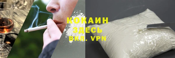 гашик Карпинск