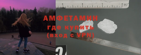 гашик Карпинск