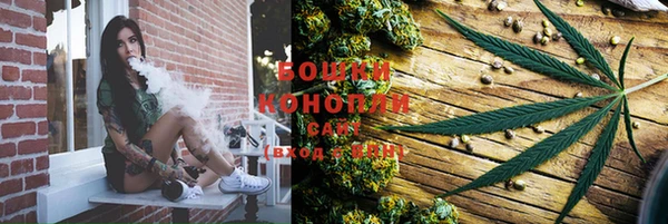 гашик Карпинск
